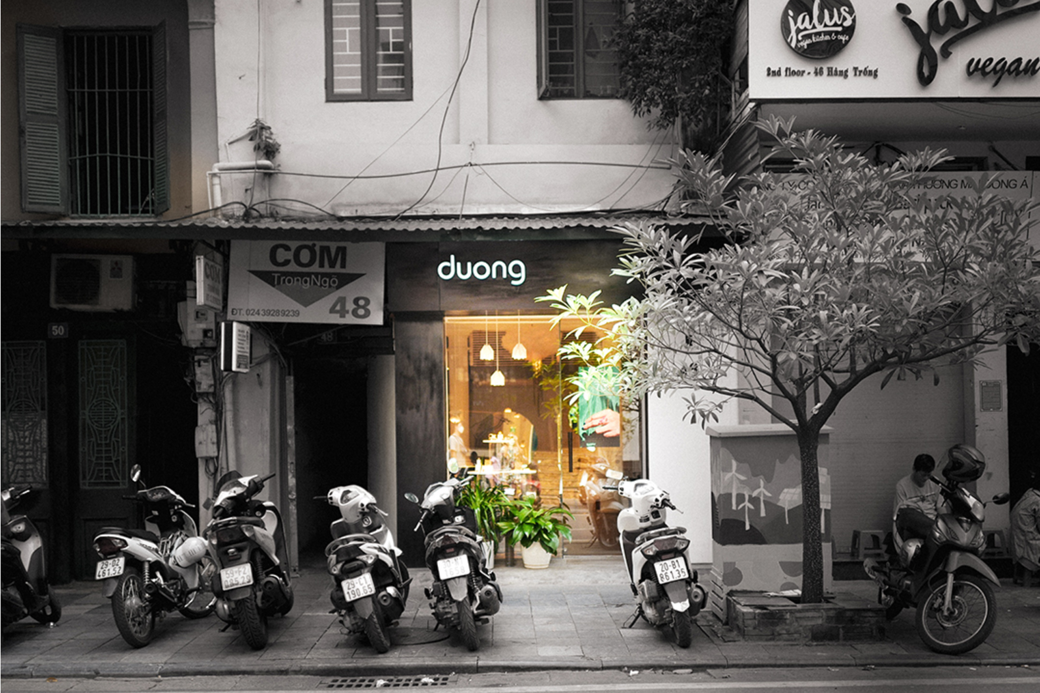 lĩnh vực hoạt động